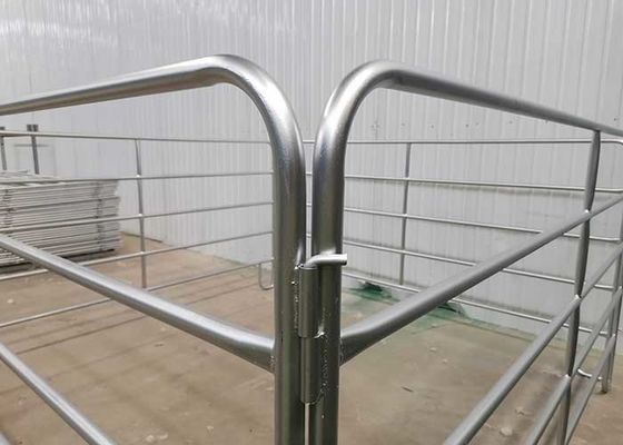 Pre Galvanized Tube Welded 1.8m Height Cattel Panel With 50x50mm Square Pipe