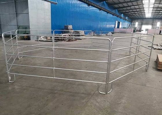 1.6m Height Hot Dipped Galvanized Cattle Panel For Horse Farm