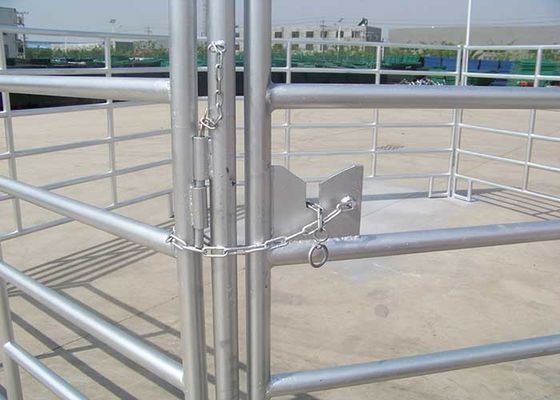 60x60mm Rails Lugs And Pin Model Square Pipe 60ft Height Cattle Panel For Horse