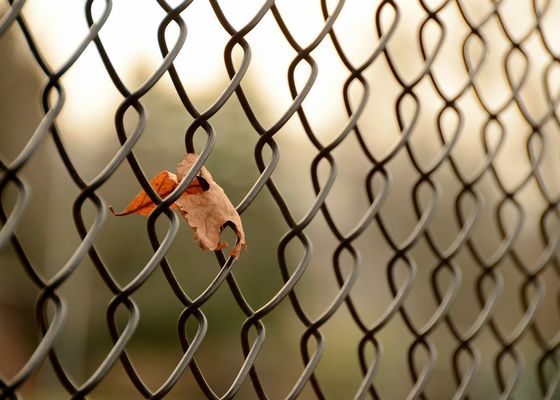 Uniform Mesh Hole 3mm Green Chain Link Fence