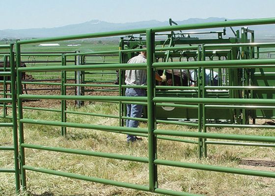 portable pipe filled welded mesh Cattle Fence Gate