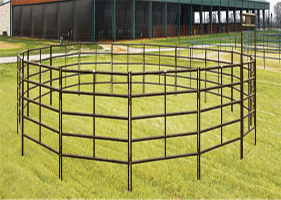 Welded Zinc Coating Portable Cattle Panels For Livestock
