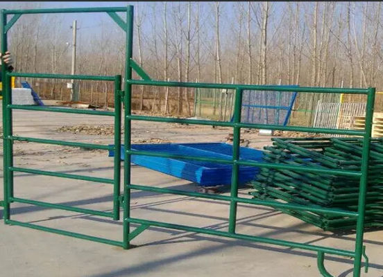 Welded Zinc Coating Portable Cattle Panels For Livestock