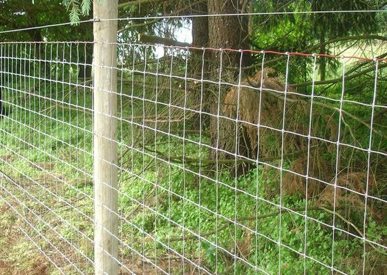 Galvanized Steel Woven Wire Hinge Joint Farm Panel Fence
