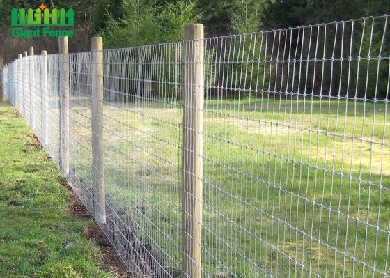 Hot Dipped Galvanized Fixed Knot Sheep Farm Fence Of Steel Wire Mesh