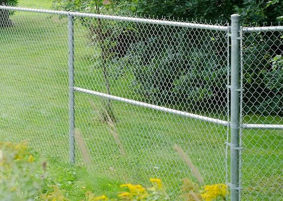 Trellis Chainlink Football Q195 Garden Wire Mesh Fencing