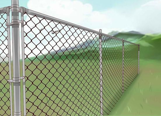 Home Garden Plastic Coated Diamond Mesh Fencing 3.0m Height