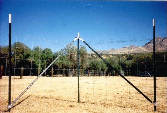 Farm Light Green Painting With White Top 0.95lbs Steel T Posts