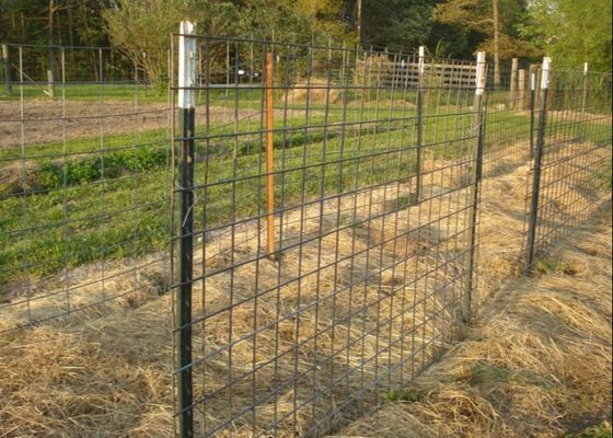 Farm Fence 8ft 1.25lb Steel Studded T Post Green Coated