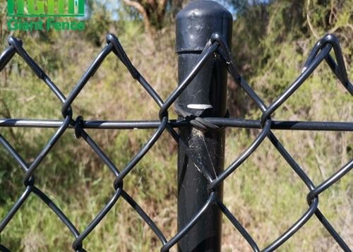 Pvc Coated Decorative Garden Perimeter 2mm Chain Link Wire Mesh Fencing