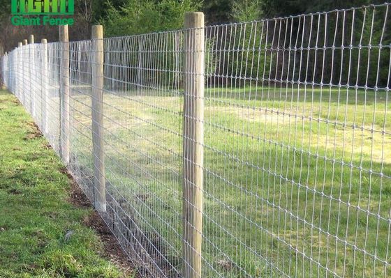 Hot Dipped Galvanized Fixed Knot 0.8m Height Livestock Fence Panels