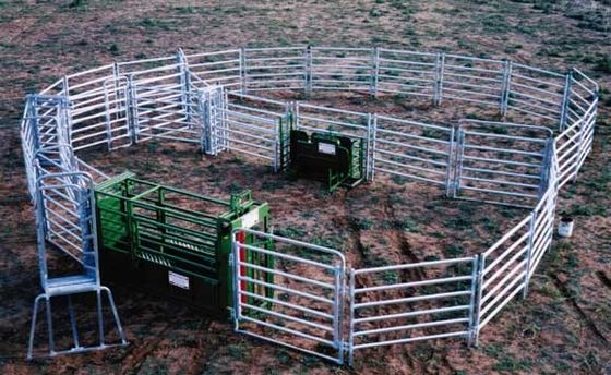 Australia Pipe Galvanized Round 1.6m High Steel Corral Panels