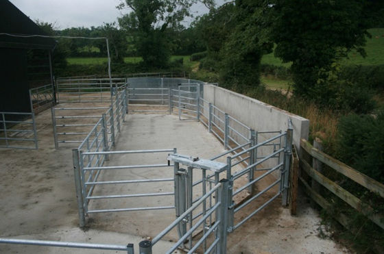 ISO 2.1m Length Cattle Fence Panels For Livestock Farm