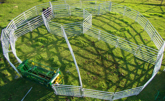 ISO 2.1m Length Cattle Fence Panels For Livestock Farm