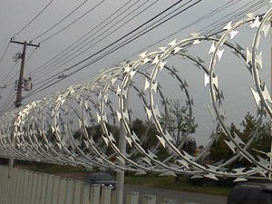 Concertina Hot Dipped Galvanized 2.5mm Security Barbed Wire