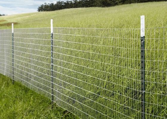 1.58kg/M To 2.04kg/M 2400mm Fence Star Pickets Australia Standard