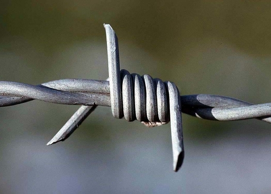 Fencing 3.4mm High Tensile Barbed Wire Oxidation Protection